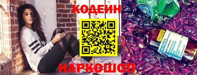 гидропоника Сланцы