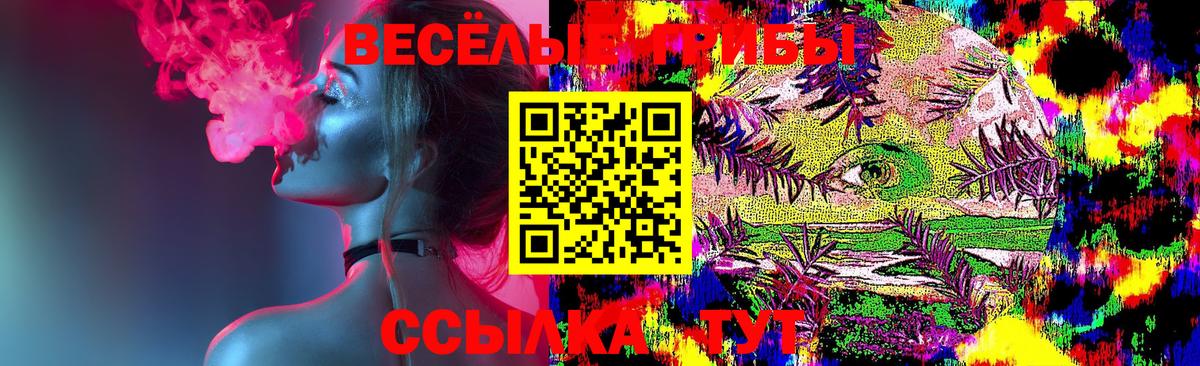 Рославль  Псилоцибиновые грибы MAGIC MUSHROOMS  Вход с VPN 