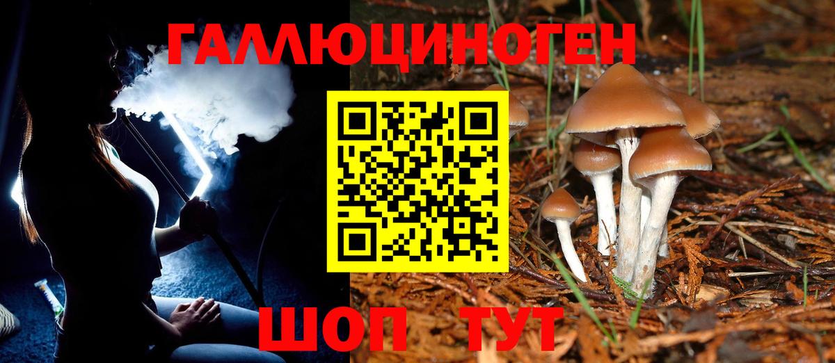 Псилоцибиновые грибы Magic Shrooms Рославль